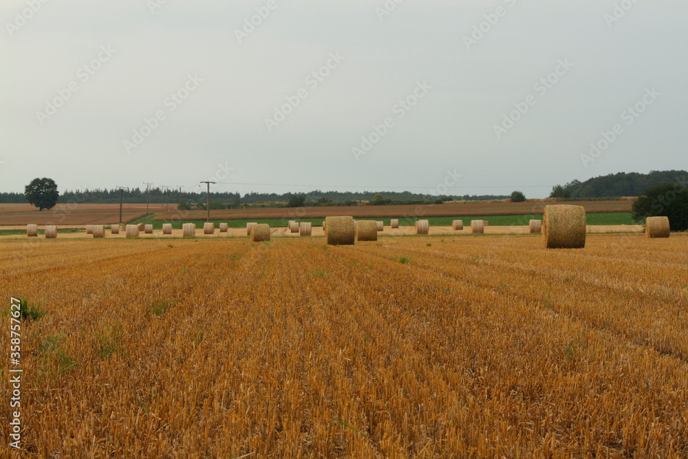Fototapeta premium Deep view over a harvested field