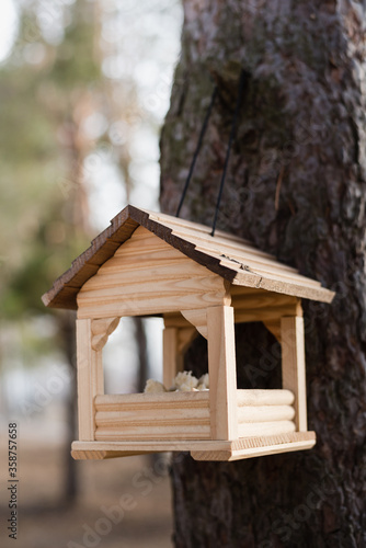 wooden bird house © lelya198814