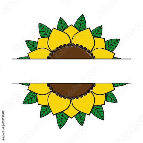 vector illustration of a sunflower