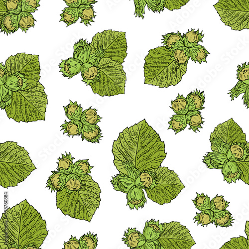 Hand drawn sketch style filbert fruits seamless pattern. Color background. 