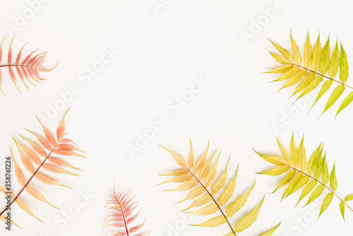 colorful leaves on a white background, white background with leaves, colored leaves
