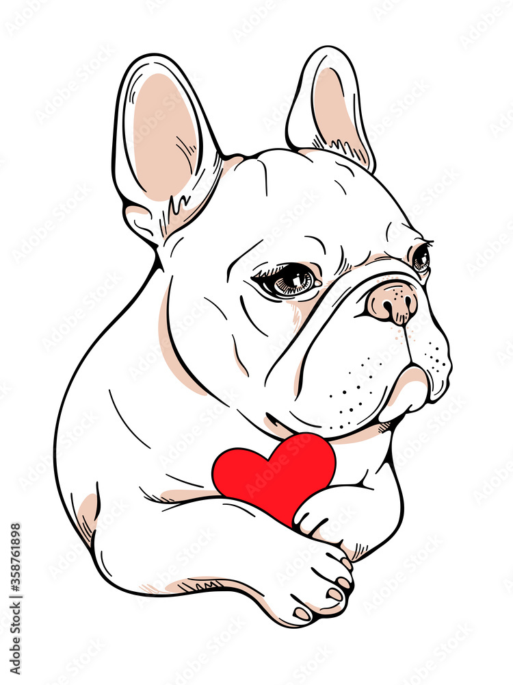Cute cartoon french bulldog with red heart. Image for Valentines day. Cute cartoon french bulldog with red heart. Image for Valentines day.