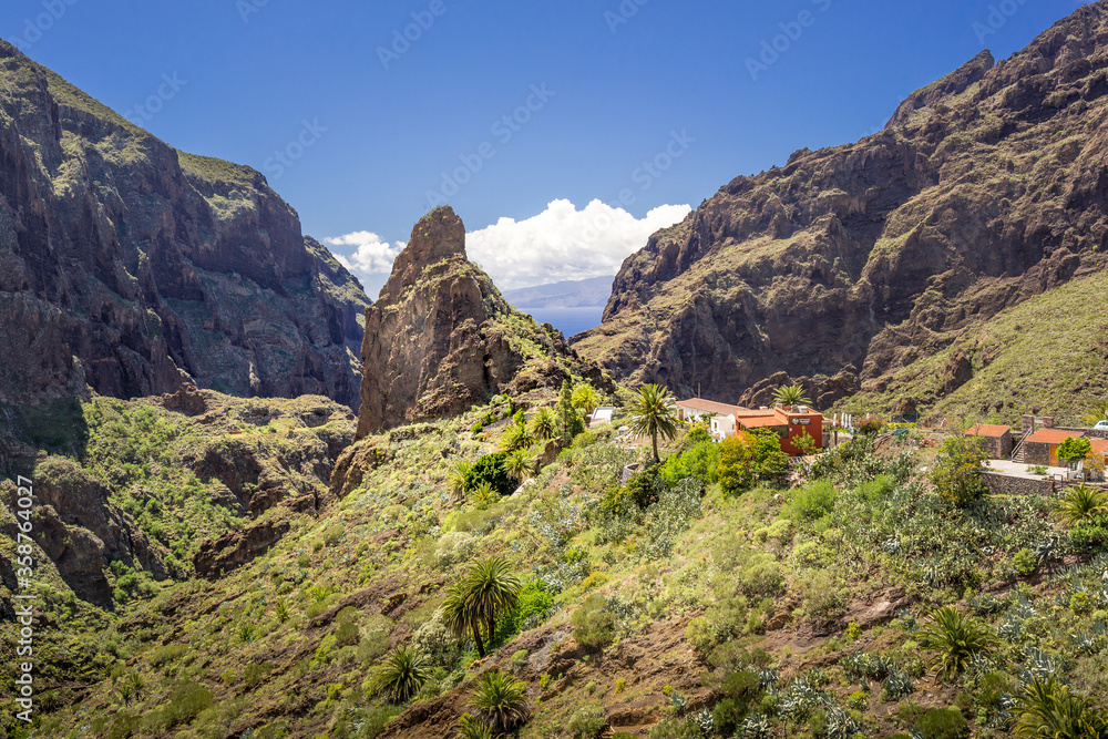 Green valley, Masca Village, Tenerife, Canary islands, Spain