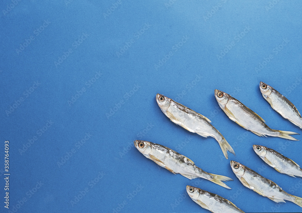 silver fish on a blue background. space for text silver fish on a blue background. space for text