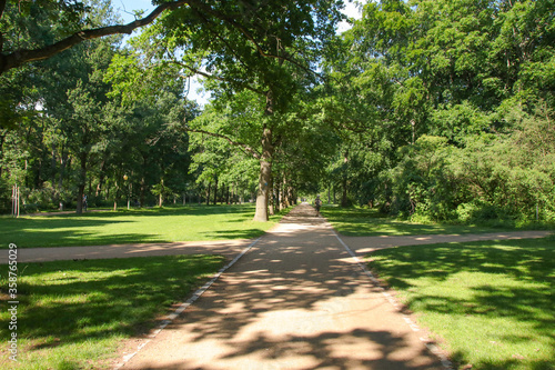 Photography The popular  park (Tiergarten) in Berlin - Germany