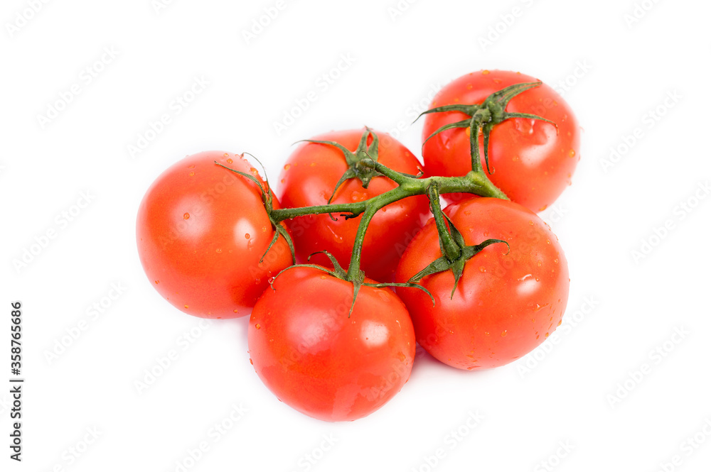 Tomatoes on a branch. 5 fresh tomatoes with herbs on a white background Tomatoes on a branch. 5 fresh tomatoes with herbs on a white background