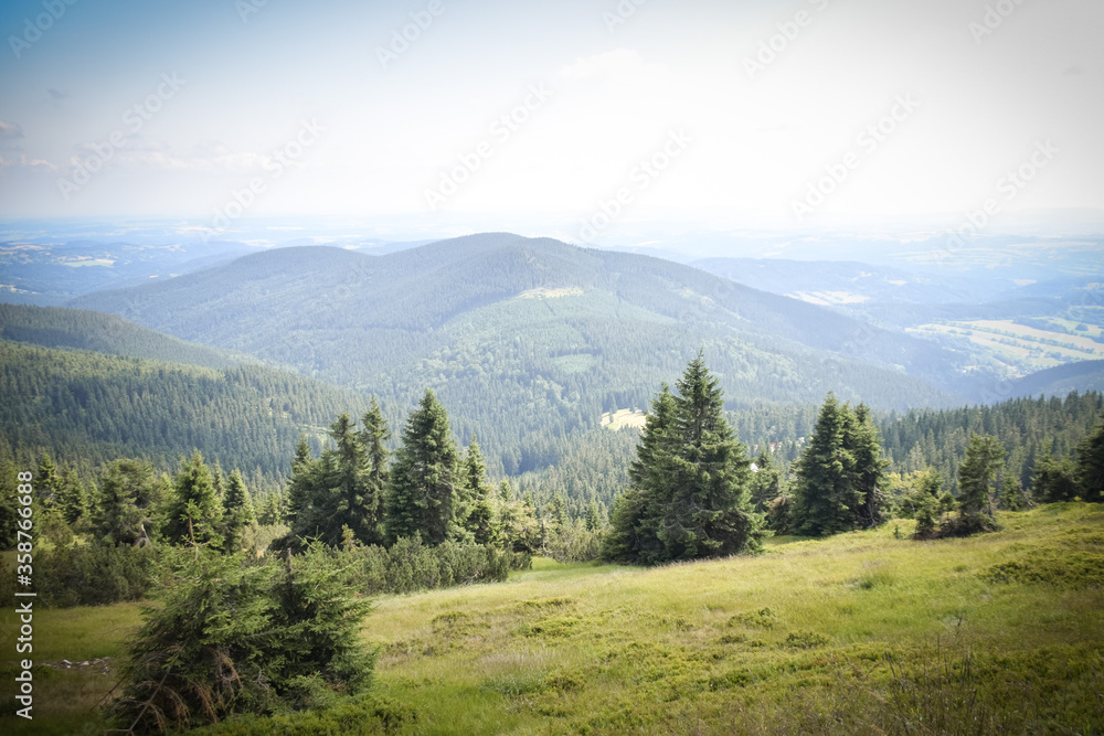 Amazing czech nature in our mountain Krkonose. Wonderful highland scenery with huge cliff. Trees are everywhere. Clean air and amazing view. 