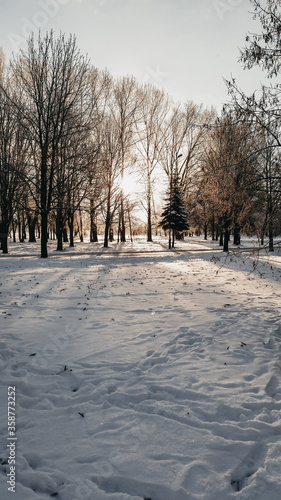 Puesta del sol durante el invierno en Lituania