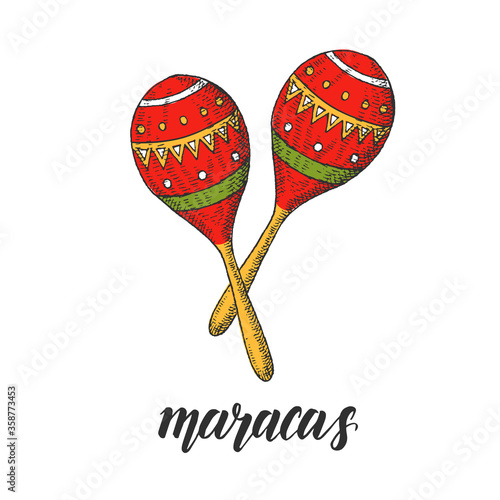 Hand drawn colorful illustration of maracas in sketch style. Vector vintage illustration isolated on white.