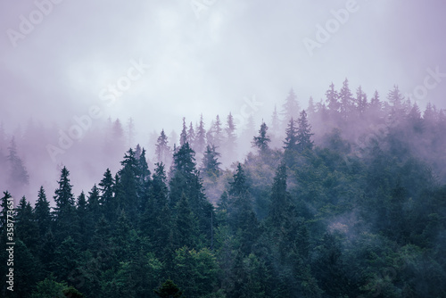 Misty mountain landscape © Roxana