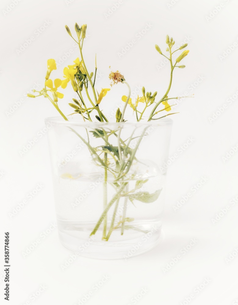 flowers in vase flowers in vase