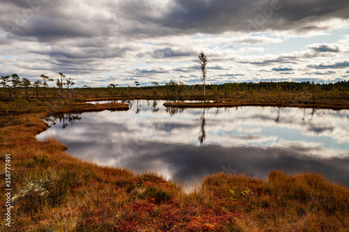 Estonian bog view, sky and dark clouds reflected in wrinkled pond water. Tourist destination. Soomaa National Park.