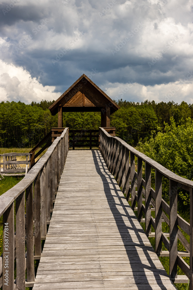 Obraz premium Boardwalk ramp slip-way wooden path leading to gate of tower for tourist. Marshland bog in Poleski National Park. Observing tower in grassland. Nature trail Czahary. Poland, Europe. Cloudy sky.