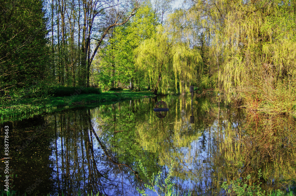 Autumn landscape in a forest in Kaunas Lithuania with trees and lakes Autumn landscape in a forest in Kaunas Lithuania with trees and lakes
