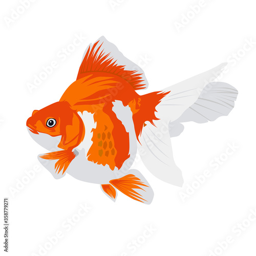 Gold Fish Vector Illustration
