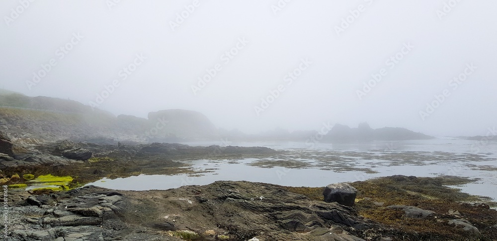 fog over the river