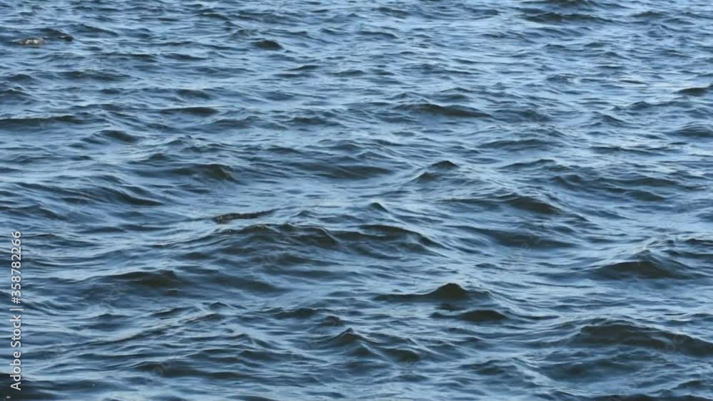 Blue water waves surface. Water surface with small waves moving in the direction of the wind Blue water waves surface. Water surface with small waves moving in the direction of the wind