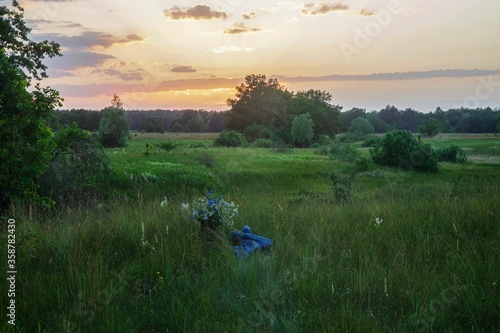 Sunset on the  summer meadow