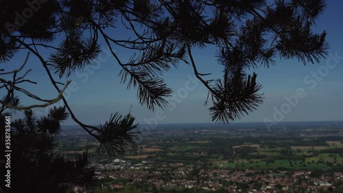 Thin pine tree leaves blowing in the wind in the Malvern Hills with a view of Great Malvern photo