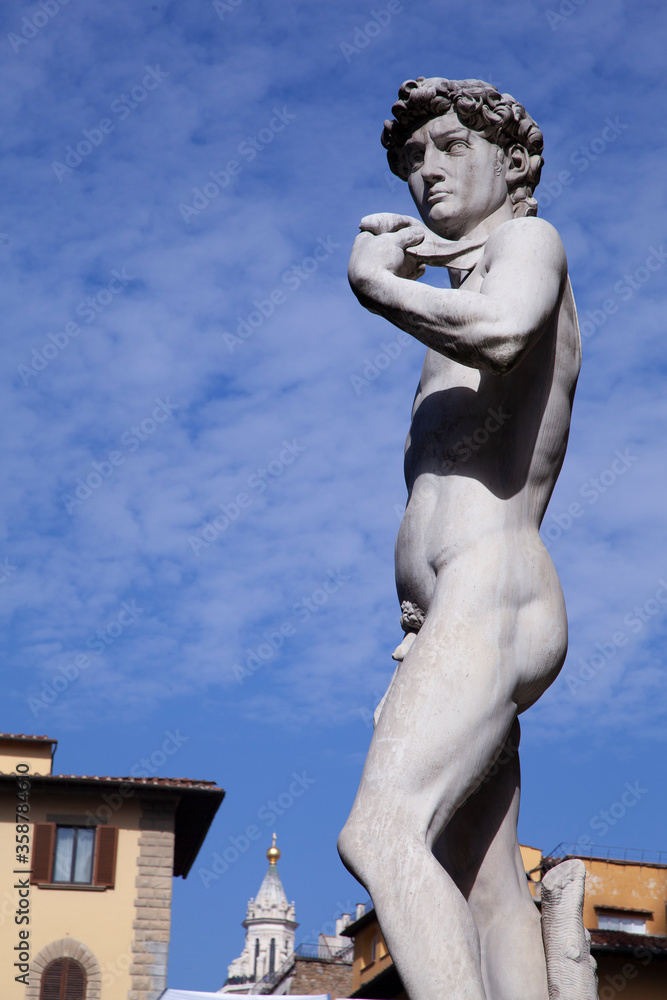 statue of david in Firenze