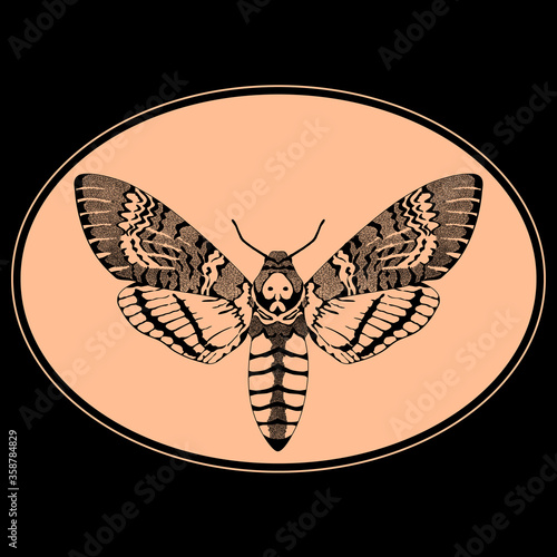  vector illustration dead head hawkmoth