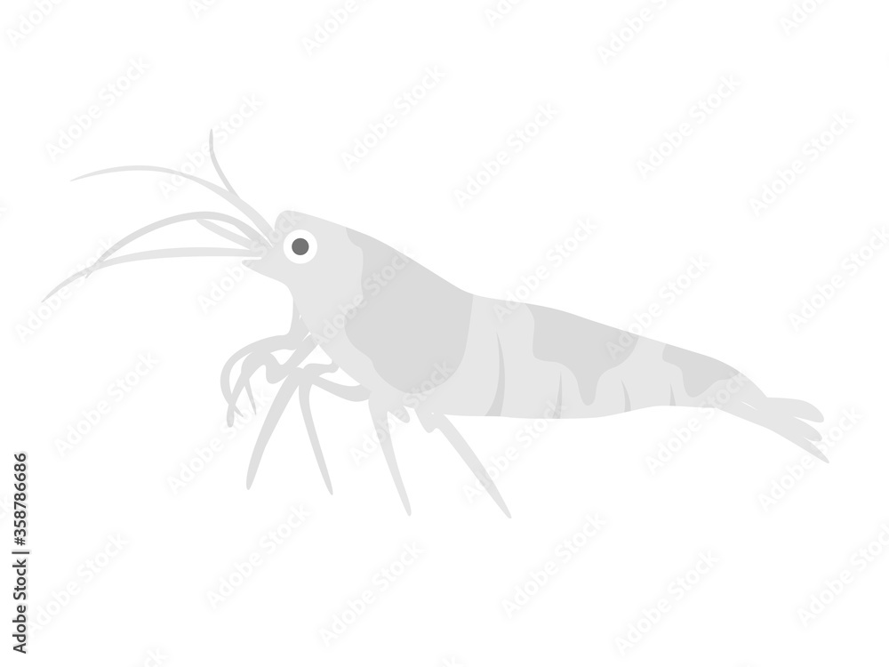 エビのイラスト エビのイラスト