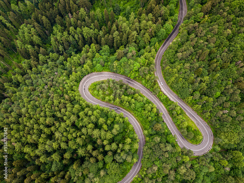 Curvy road in dense forest, aerial view