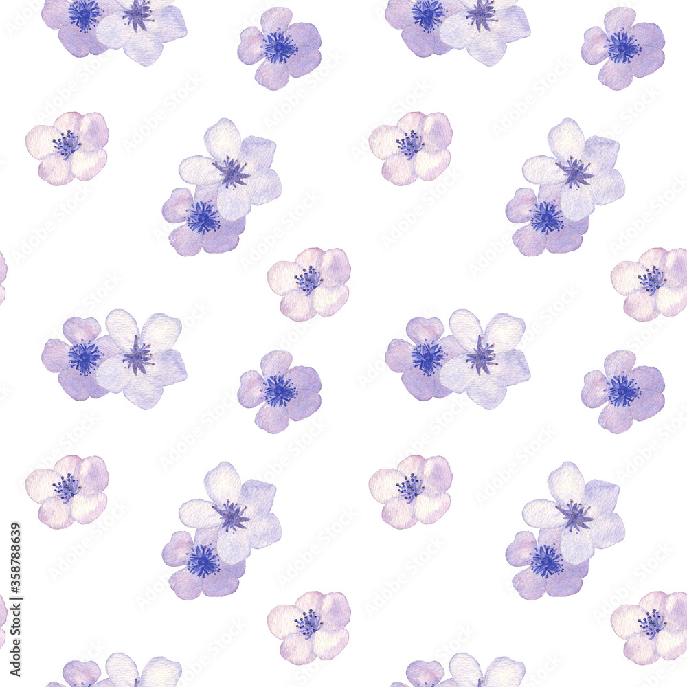 Tender seamless pattern of watercolor violet flowers. Romantic and soft color range, fresh and inspirational! Tender seamless pattern of watercolor violet flowers. Romantic and soft color range, fresh and inspirational!