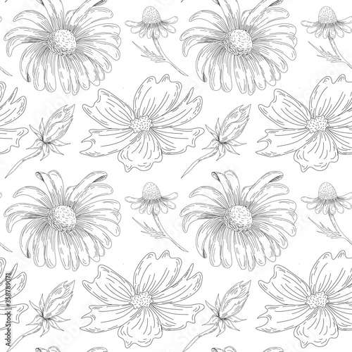 Graphic wild flowers illustration. Hand Drawn seamless pattern with outlines of cosmos and chamomile flowers.