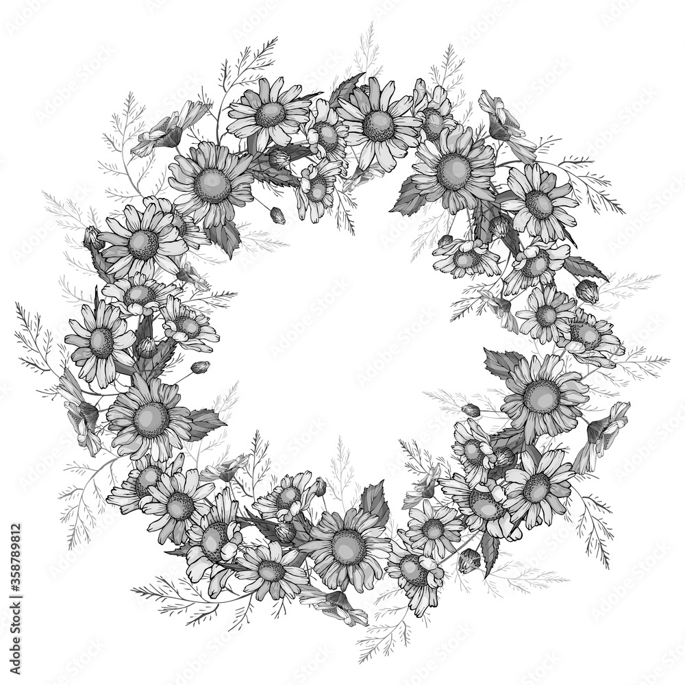 Vector wreath of summer flowers. White and black. Vintage monochrome floral round frame with chamomiles for fashion, greetings, background for save the dates.  Hand drawn. Vector stock illustration.