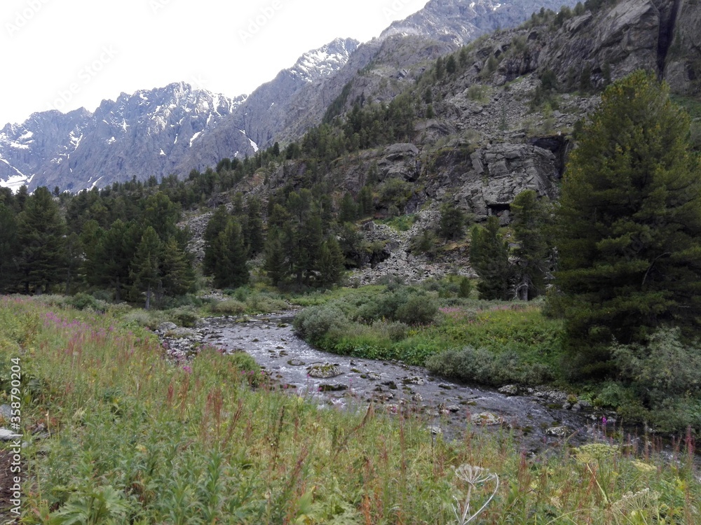 Obraz premium Mountain river