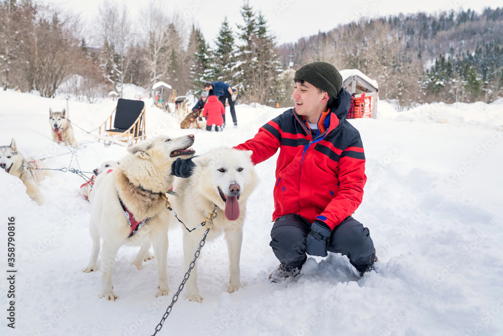 Fototapeta premium boy with a dog sledding team