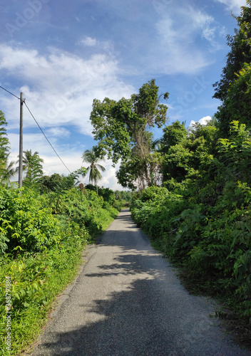 Road in the middle of nature