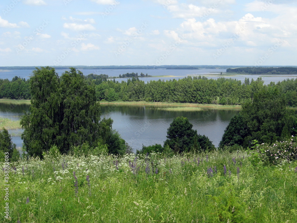 summer landscape with lake