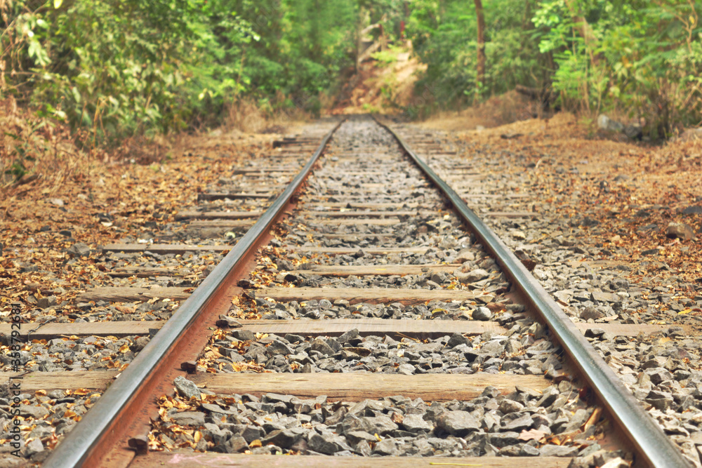 railroad tracks in the forest. Closeup view of Railway Track between the forest railroad tracks in the forest. Closeup view of Railway Track between the forest