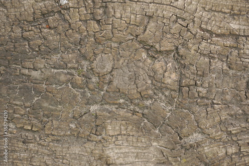 old wooden floor background texture