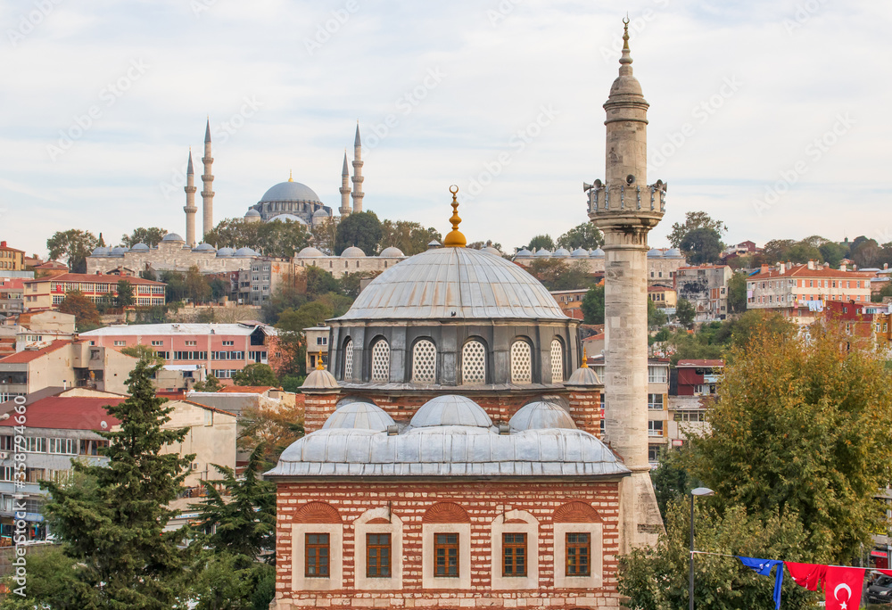Obraz premium Istanbul, Turkey - a country with a strong muslim majority, Turkey has mosques at every corner. Here in particular one of the many wonderful mosques in Istanbul 