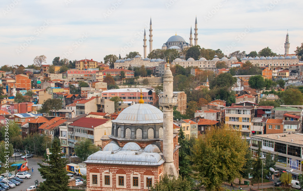 Obraz premium Istanbul, Turkey - a country with a strong muslim majority, Turkey has mosques at every corner. Here in particular one of the many wonderful mosques in Istanbul 