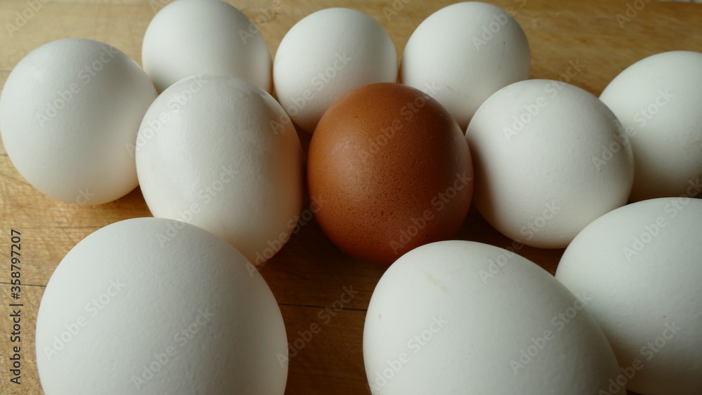 white chicken eggs and one brown egg white chicken eggs and one brown egg