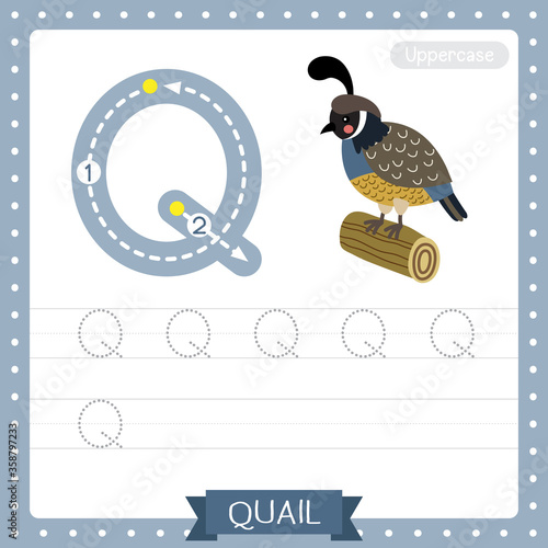 Wallpaper Mural Letter Q uppercase tracing practice worksheet of Quail bird perching on wood log Torontodigital.ca