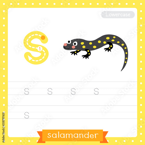 Letter S lowercase tracing practice worksheet of Salamander