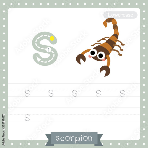 Letter S lowercase tracing practice worksheet of Scorpion photo