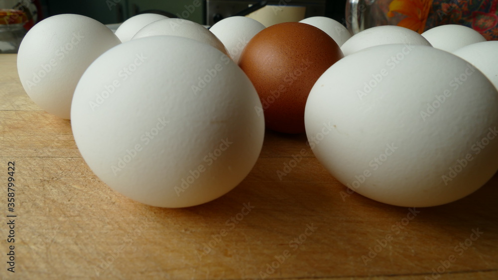 white chicken eggs and one brown egg white chicken eggs and one brown egg