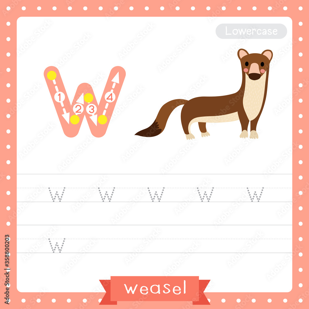 Letter W lowercase tracing practice worksheet of Weasel