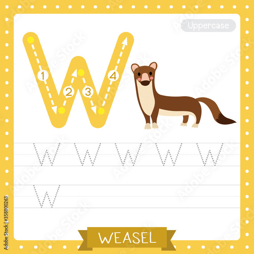 Letter W uppercase tracing practice worksheet of Weasel