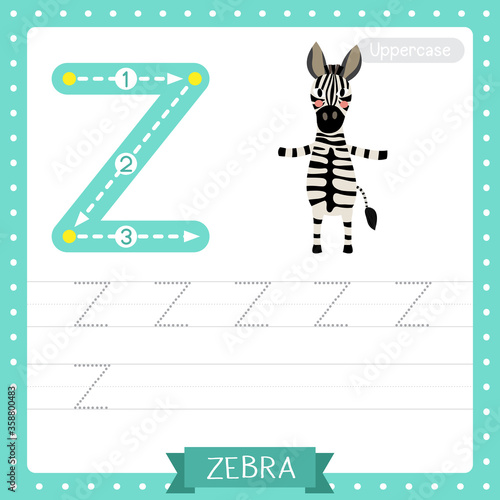 Letter Z uppercase tracing practice worksheet of Zebra standing on two legs