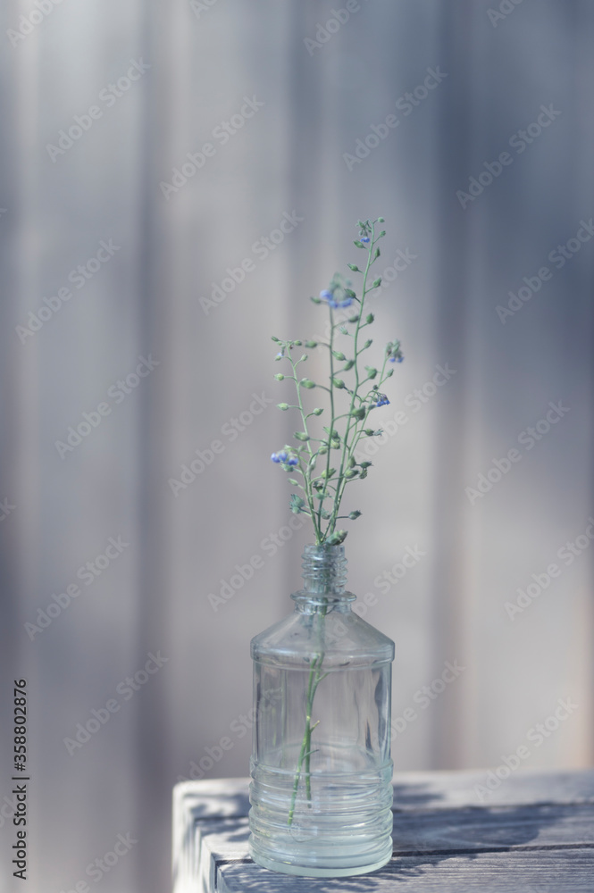 still life with glass tiny bottle and field flowers in moody violet colours front view still life with glass tiny bottle and field flowers in moody violet colours front view