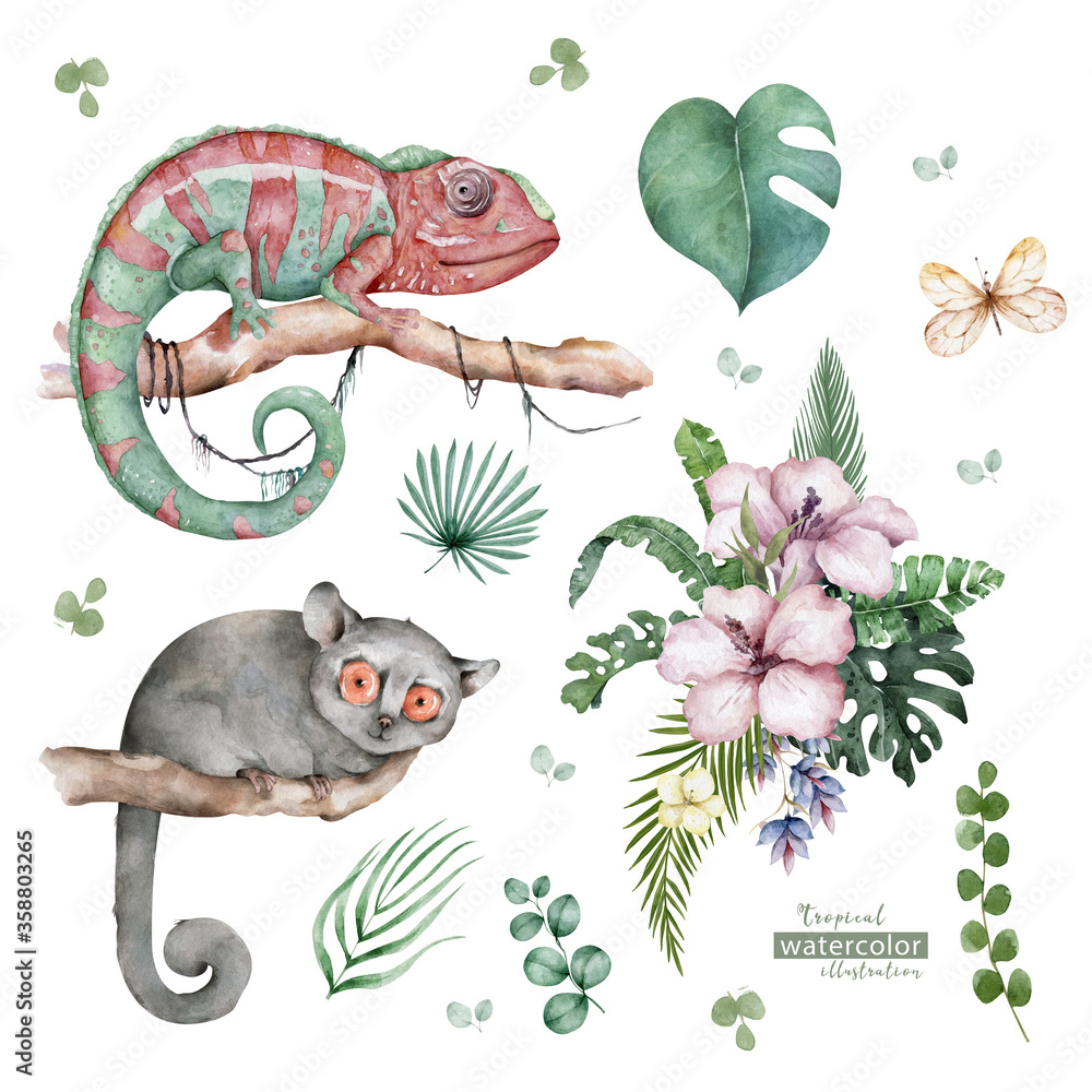Fototapeta premium Chameleon Lizard and Mouse Lemur wildlife with tropical flowers Hand drawn watercolor isolated illustration on white background