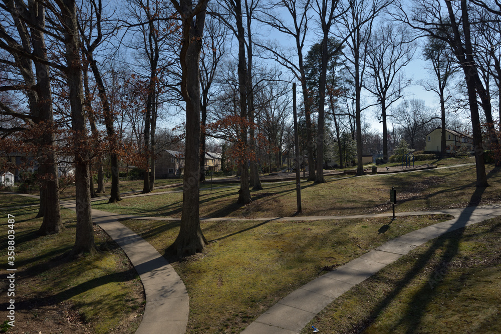 Obraz premium アメリカの郊外住宅地：グリーンベルトの街並み