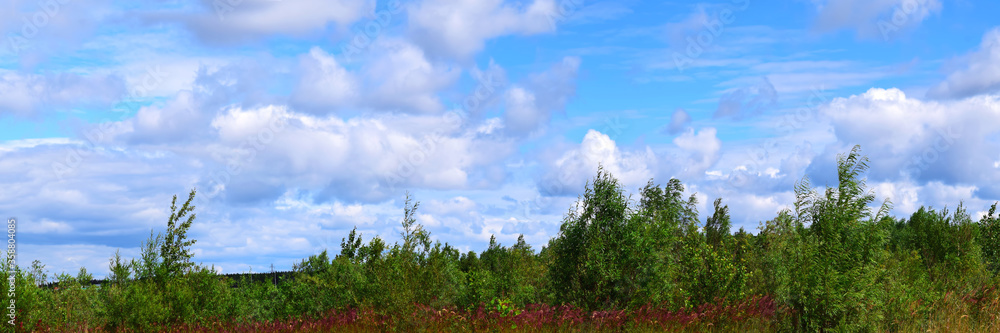 Green forest and blue sky with clouds, panorama. Summer landscape Green forest and blue sky with clouds, panorama. Summer landscape